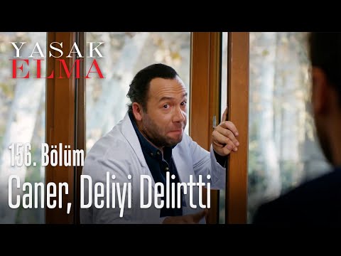 Caner, deliyi delirtti - Yasak Elma 156. Bölüm