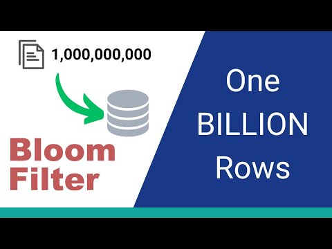 Check Billions of User Records with BLoom Filter