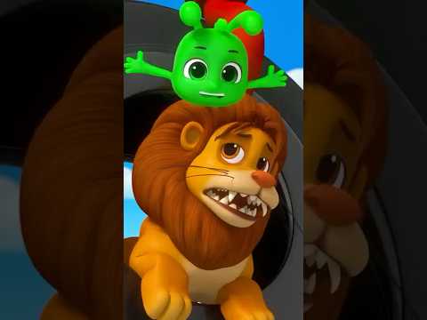 Catch the Roaring Lion 🦁 #morphle #cartoon #animals