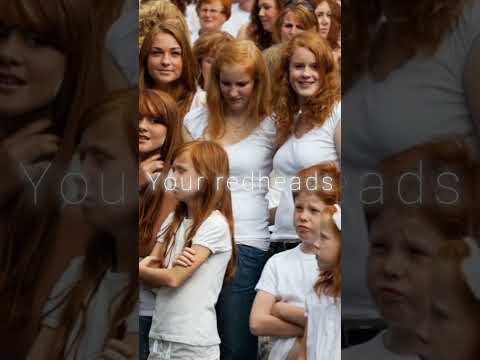 what potterheads see✨ #harrypotterfanclub #harrypotteruniverse #hogwarts