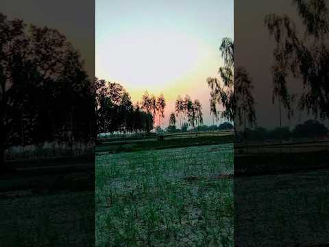 Mud mud ke #tony kakkar Neha kakkar #song #trending #shorts