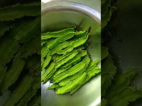 second harvesting of winged bean 🌿✨️ || #garden #terrace #trending #shorts #fyp #plants #vegetables