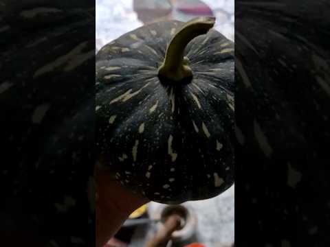 #pumpkin #कद्दू #पेठा #sabji #satvik #foodshorts #foodie #recipe #desiswad