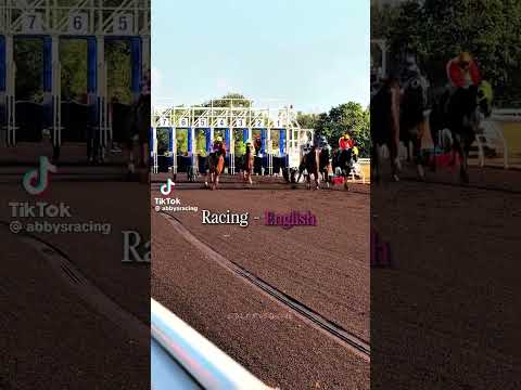 What languages I think disciplines would speak pt.1?￼