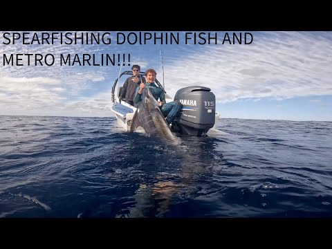 Spearfishing Rottnest Island!! (fishing, craydiving, metro marlin)