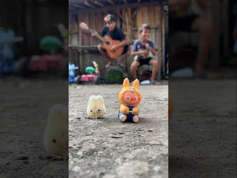 I'm a little disappointed, not a single millipede came here this time #shorts #millipede