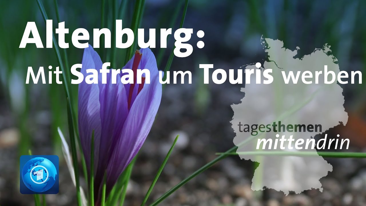 Altenburg: Wie vermarktet sich eine Region? | tagesthemen mittendrin