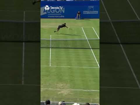 Grigor Dimitrov Hits Insane DIVING Volley Winner 😳