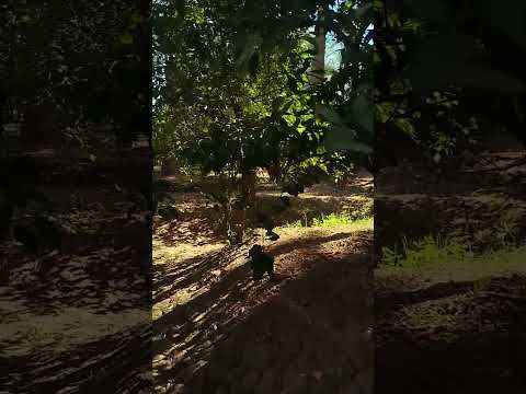 @u_can2030  رحله ستكشاف