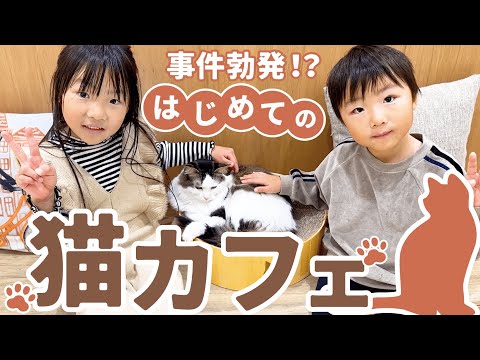 念願の猫カフェへ！元気な猫ちゃんたちにビビりまくる子供達ｗ