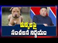 North Korea leader Kim Jong Un orders citizens to handover pet dogs