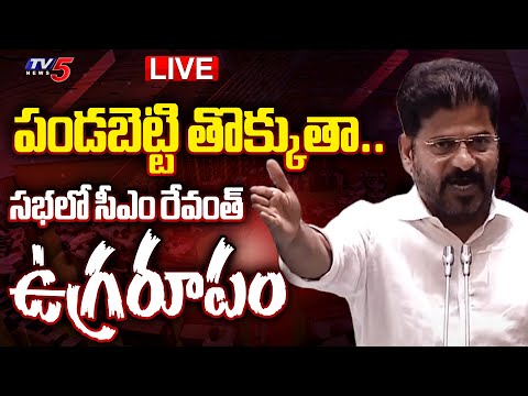 LIVE : CM Revanth Reddy MASS WARNING SPEECH at Telangana Assembly 2024 | KTR | Harish Rao | TV5 News