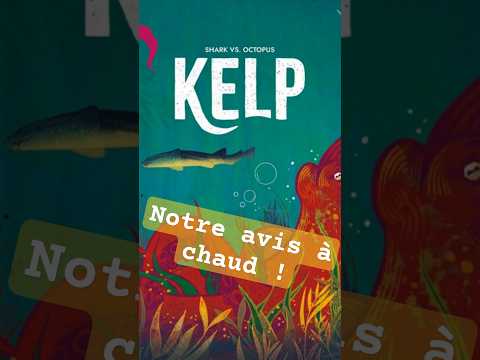 KELP ! Retours à chaud ! Avis