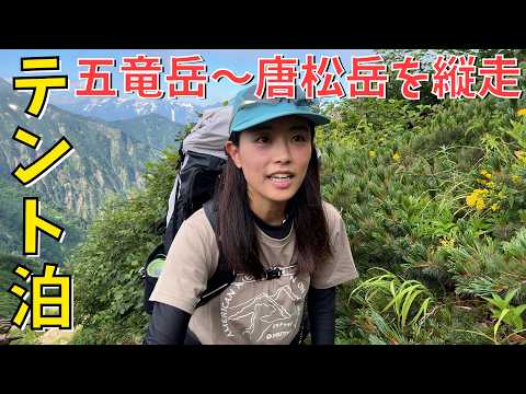 【五竜岳〜唐松岳】1泊2日のテント泊🏕️遠見尾根は想像以上にタフだった…！