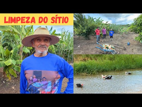 Limpeza do Sítio a Todo Vapor Vejam Como tá Ficando +Mostrando os Peixes Morrendo no Açude Vizinho