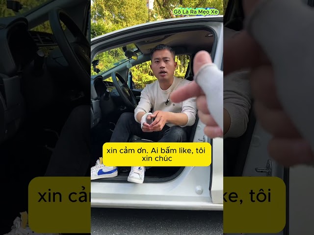 P145: Tình huống nguy hiểm trên cao tốc: Làm gì khi gặp động vật cắt ngang? #shorts #videoshort