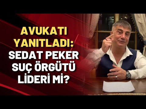 AVUKATI YANITLADI: SEDAT PEKER SUÇ ÖRGÜTÜ LİDERİ Mİ?