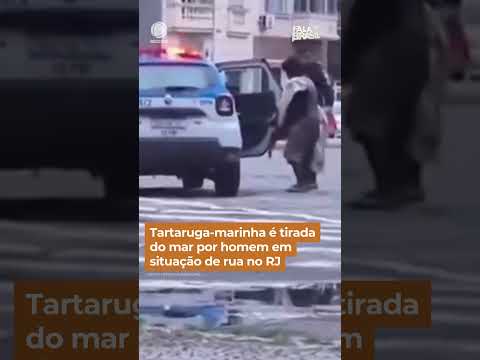 Tartaruga-marinha é tirada do mar por homem em situação de rua no Rio de Janeiro #Shorts #FalaBrasil