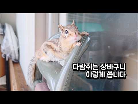 다람쥐는 장바구니 이렇게 씁니다