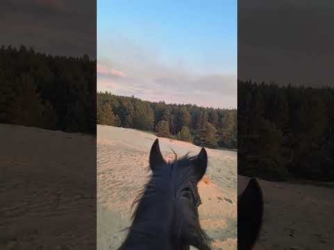 Насолода миттю 💡💫🌟🌟🌟🌟2025 р.