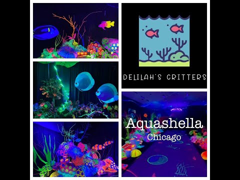 Aquashella Chicago 2021 Better late than never! Here is just a little video about my experience at Aquashella Chicago with a