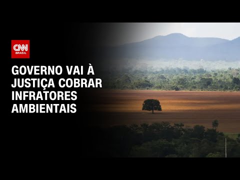 ​Governo vai à Justiça cobrar infratores ambientais | CNN ARENA