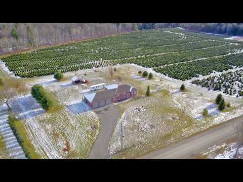 Property video