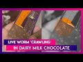 Hyderabad: Man Finds Live Worm ‘Crawling’ In Dairy Milk Chocolate, Cadbury Responds