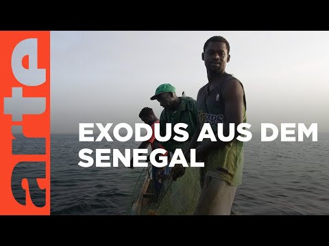 Senegal: Exodus der Fischer | ARTE Reportage