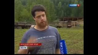 Весёлый Молочник — Русский фермер американец