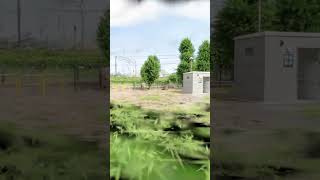 虚構 #Shorts