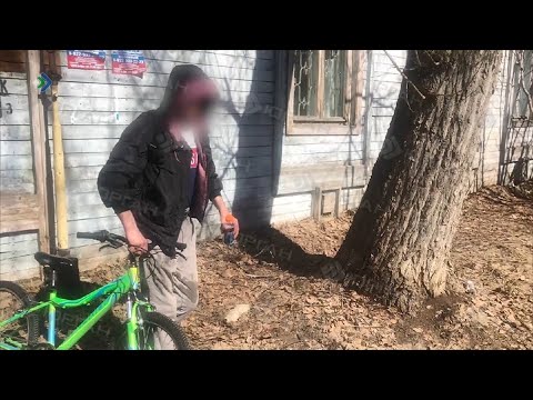 Сыктывкарка раскрыла кражу соседского велосипеда