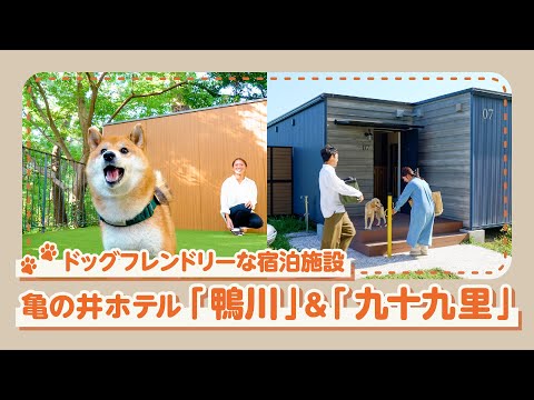 愛犬連れにおすすめの亀の井ホテル 鴨川・九十九里の新設備と宿泊プラン サムネイル