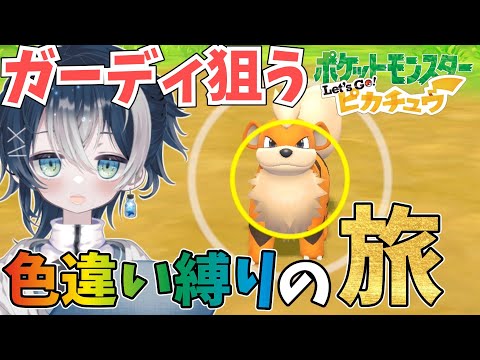 【色旅】ガーディの色違いを出してマチスを倒しに行くぞ！ ポケットモンスター Let's Go!ピカチュウ【#ピカブイ 】【#ポケモン 】【#vtuber 】#shorts