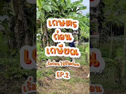 เกษตรก่อนเกษียณ EP.2 | อยากทำสวนต้องเตรียมอะไรบ้าง #เกษตรก่อนเกษียณ #ใช้ชีวิตก่อนเกษียณ #Bellinfarm