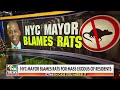 Liberal mayor blames rats for residents mass exodus  - 02:41 min - News - Video