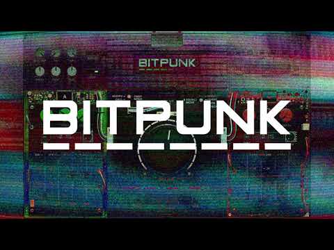 BITPUNK: Quick Introduction