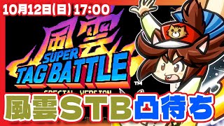 【風雲STB/参加型】風雲スーパータッグバトルが突然配信されてしまったので凸待ちせざるを得ない【Steam/VTuber】