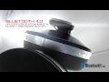Phiaton Chord MS 530 Headphone - Bluetooth 4.0 Noise Cancelling Headphones