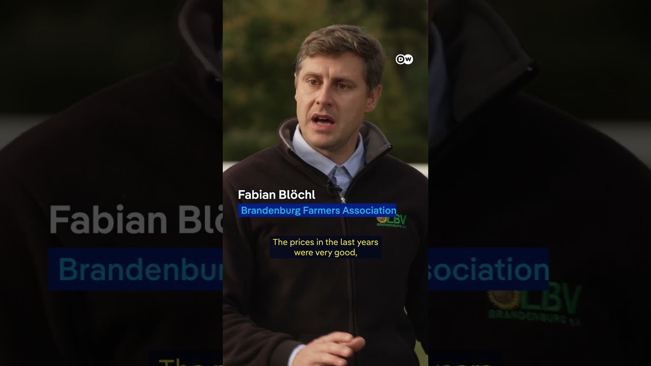 Why Germany's potato surplus is bad for farmers | DW News