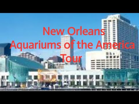 Audubon Aquarium of the America New Orleans Louisiana