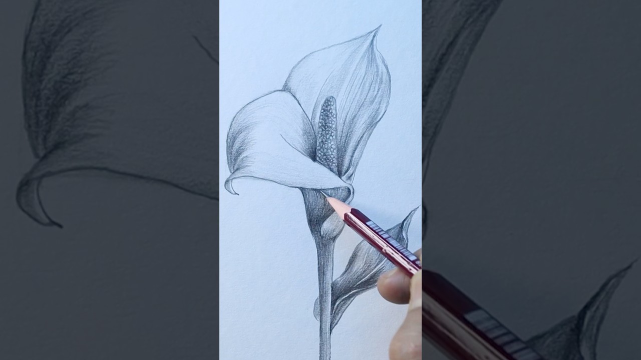 FREE 60-Day Drawing Course 🎨 - 29 Flower Drawing Technique #drawing #sketch #shortsfeed #shading