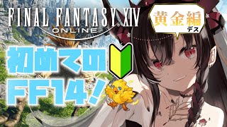 【FF14】7.0やる～～～～【鉄穴森叫子】