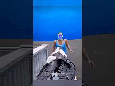 Don’t Mess With Crows 😱🐦⬛ #factsintelugu #telugufacts #amazingfacts #shorts #tejfacts