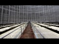 In the cooling tower 2
