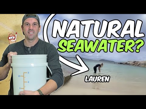 Using Ocean Water For Your Reef Tank - AND SO MUCH Lauren uses ocean water for her reef tanks!  How easy is that?! 

I got a chance to chat with Lauren