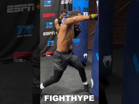Devin haney new floyd mayweather straight right knockout shots for ryan garcia face beating