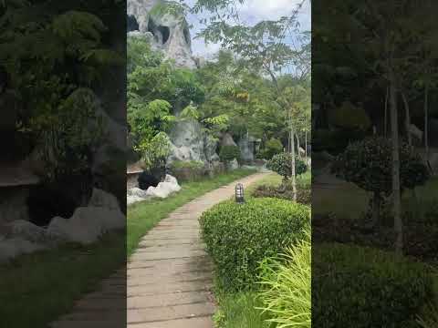 #บ้านสิงห์ธรรม #เชียงคำ #พะเยา