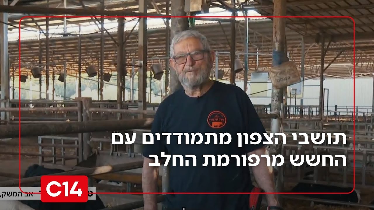 בצל ההסלמה: תושבי הצפון מתמודדים עם החשש מרפורמת החלב | החדשות