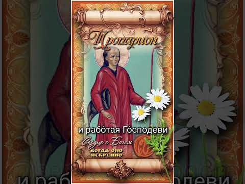 16 июля Блж. Иоанн Московский, Христа ради юродивый (1589г)